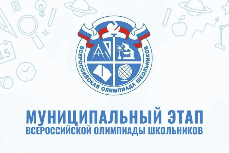 Участие в муниципальном этапе ВсОШ.
